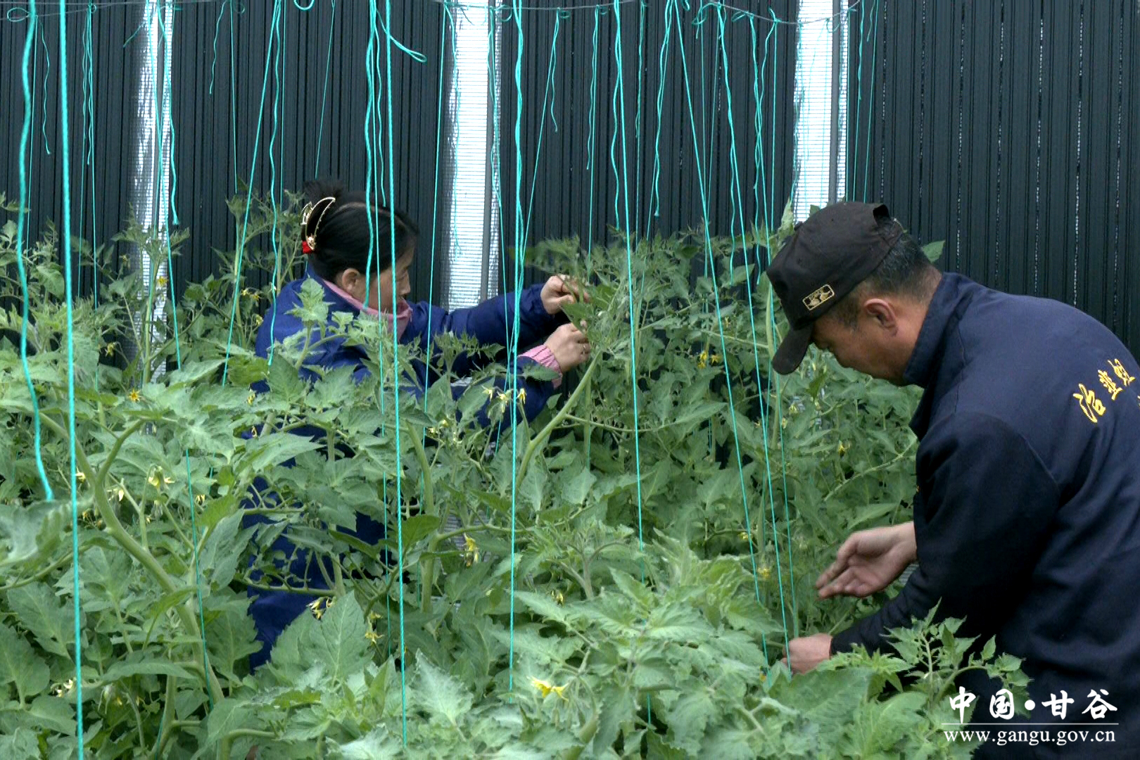 1735091406187022159.jpg 1735091406187022159.jpg