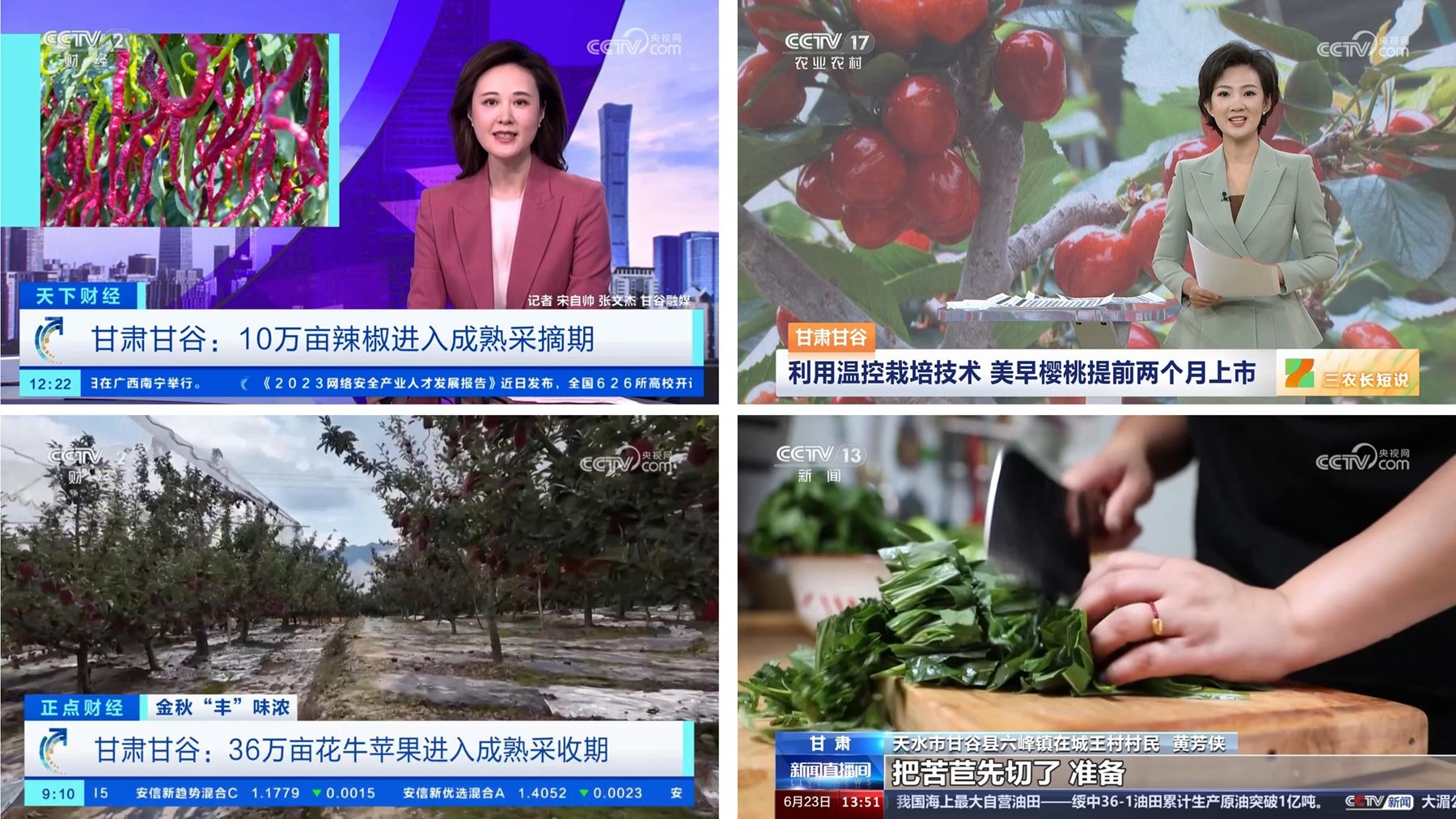 1726124954740091935_副本 1726124954740091935_副本