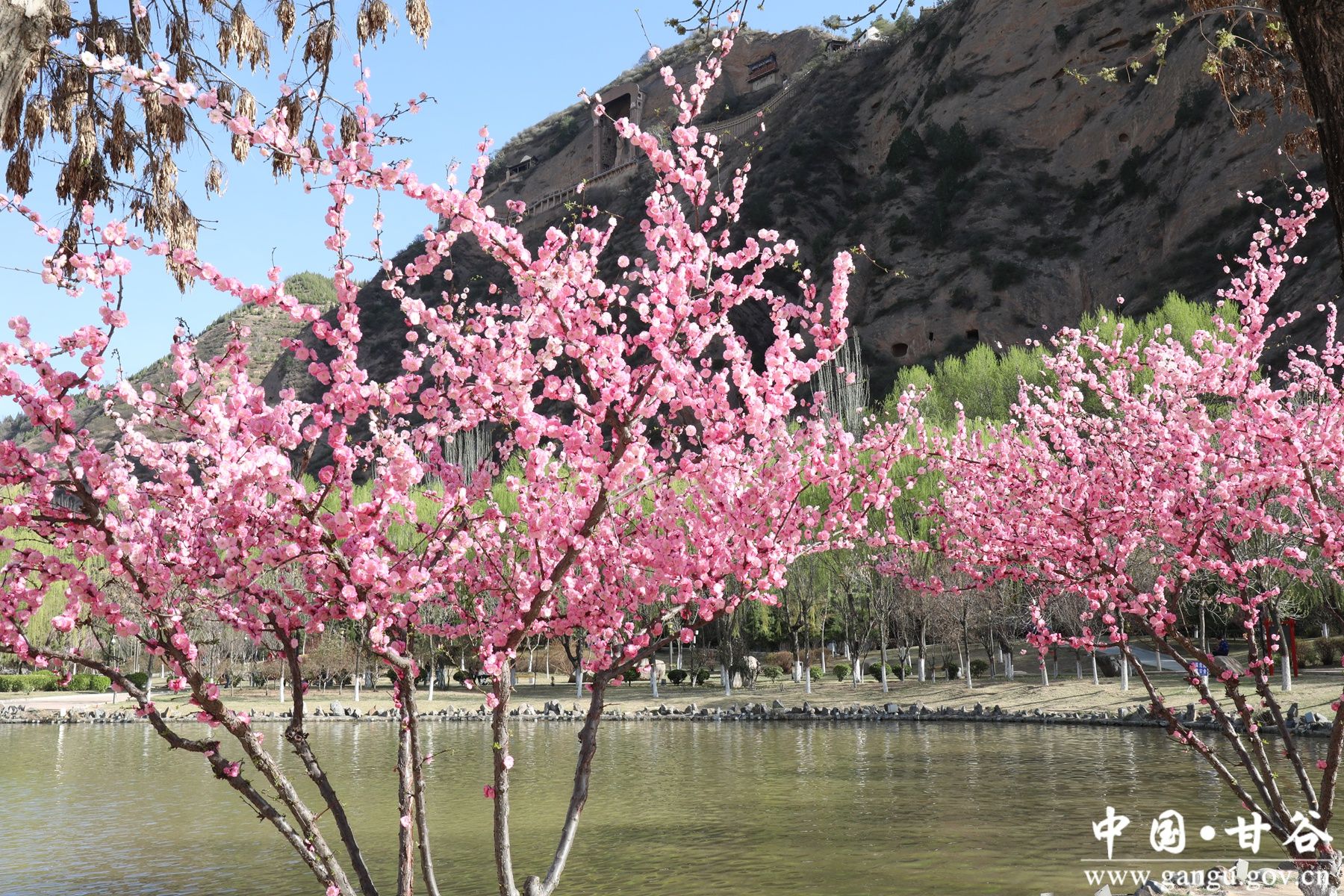 微信图片_20250408152756_副本 微信图片_20250408152756_副本