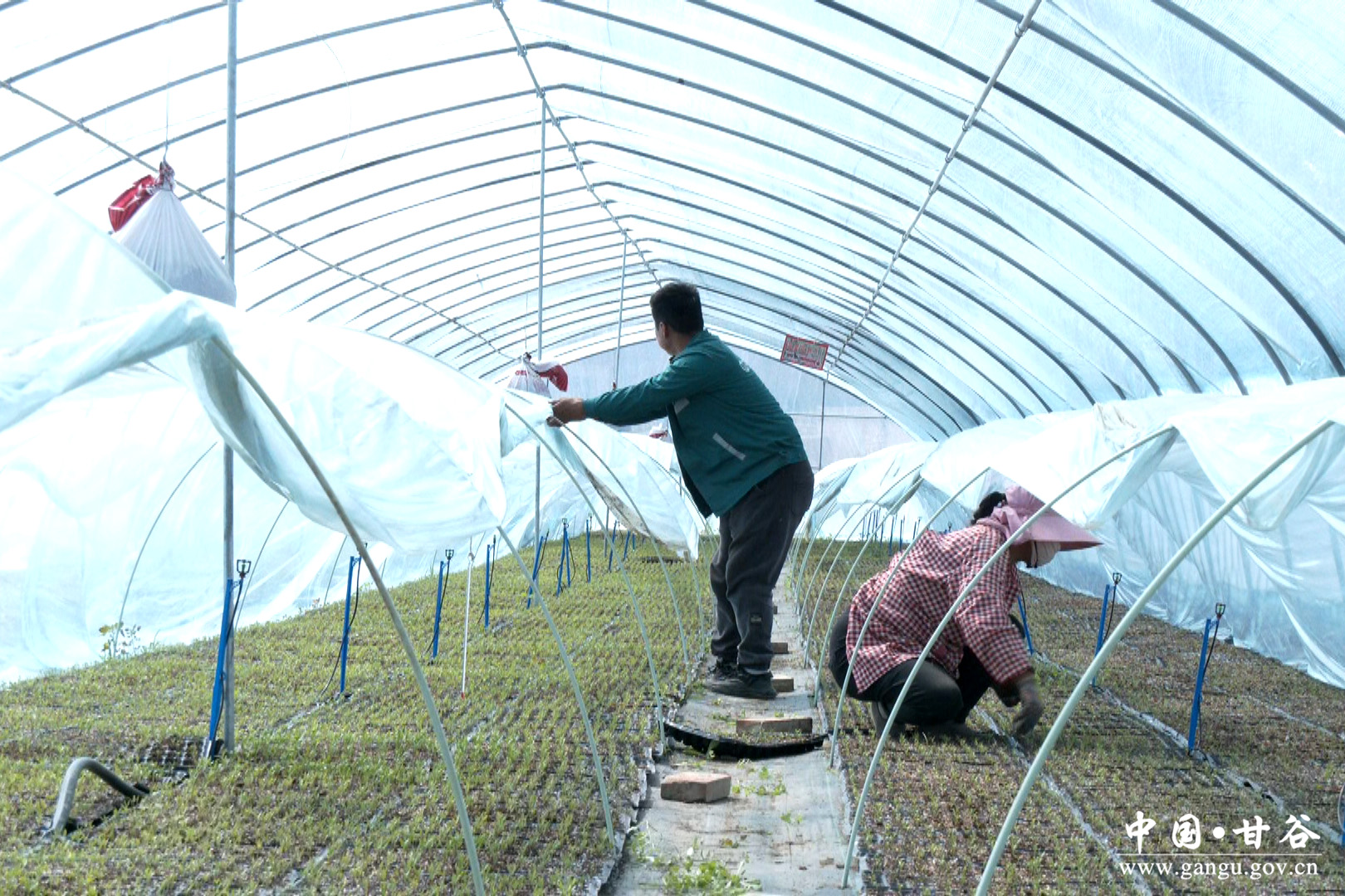 1744081495346049343.jpg 1744081495346049343.jpg