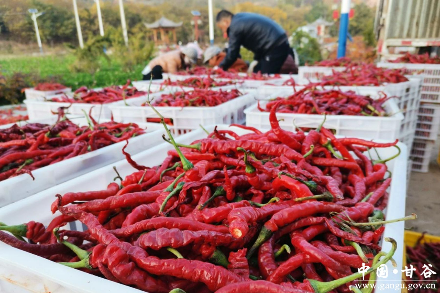 9dda92681f3b474aa58a46e76b74ca3c 9dda92681f3b474aa58a46e76b74ca3c