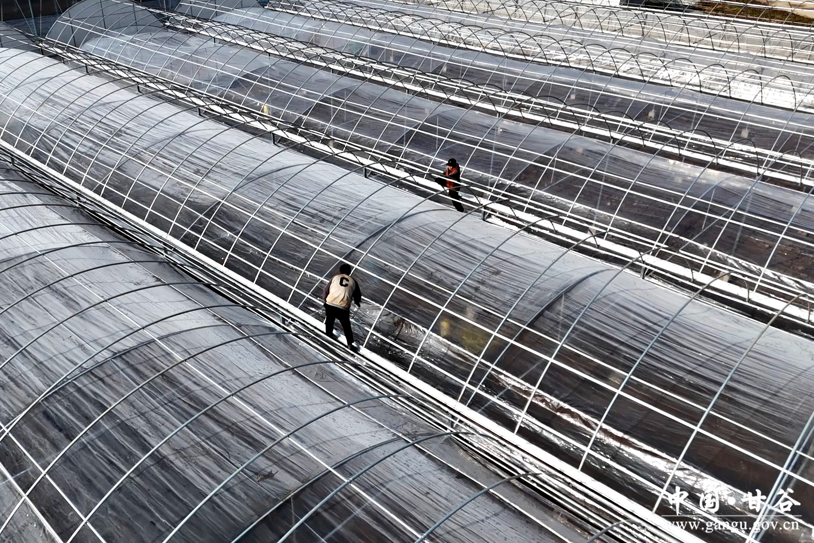 1735033103915055997.jpg 1735033103915055997.jpg