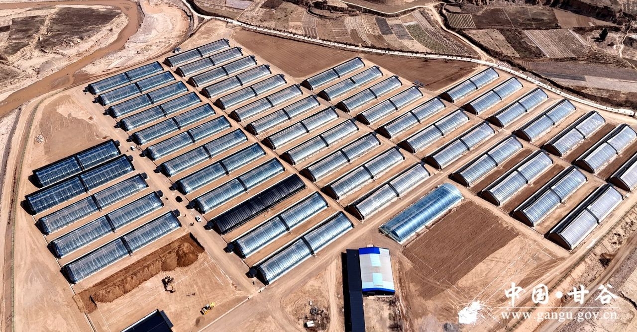 1744081520932059156.jpg 1744081520932059156.jpg