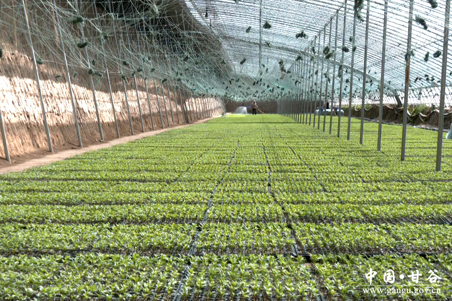 1744081435520019971.jpg 1744081435520019971.jpg