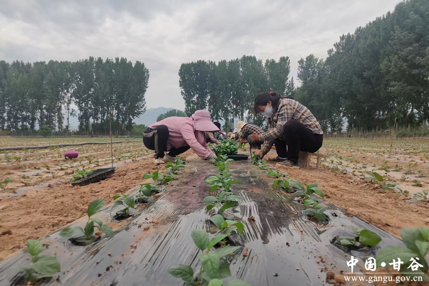 1749439861090097410 1749439861090097410