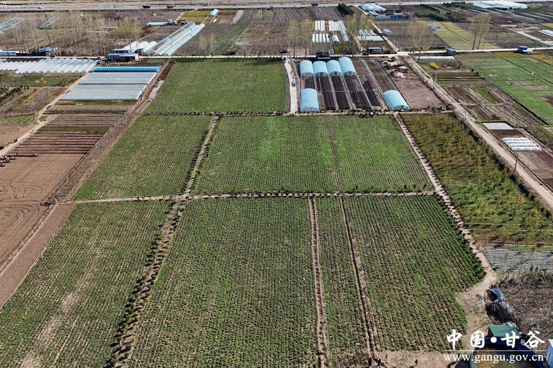 1712052655596004485 1712052655596004485