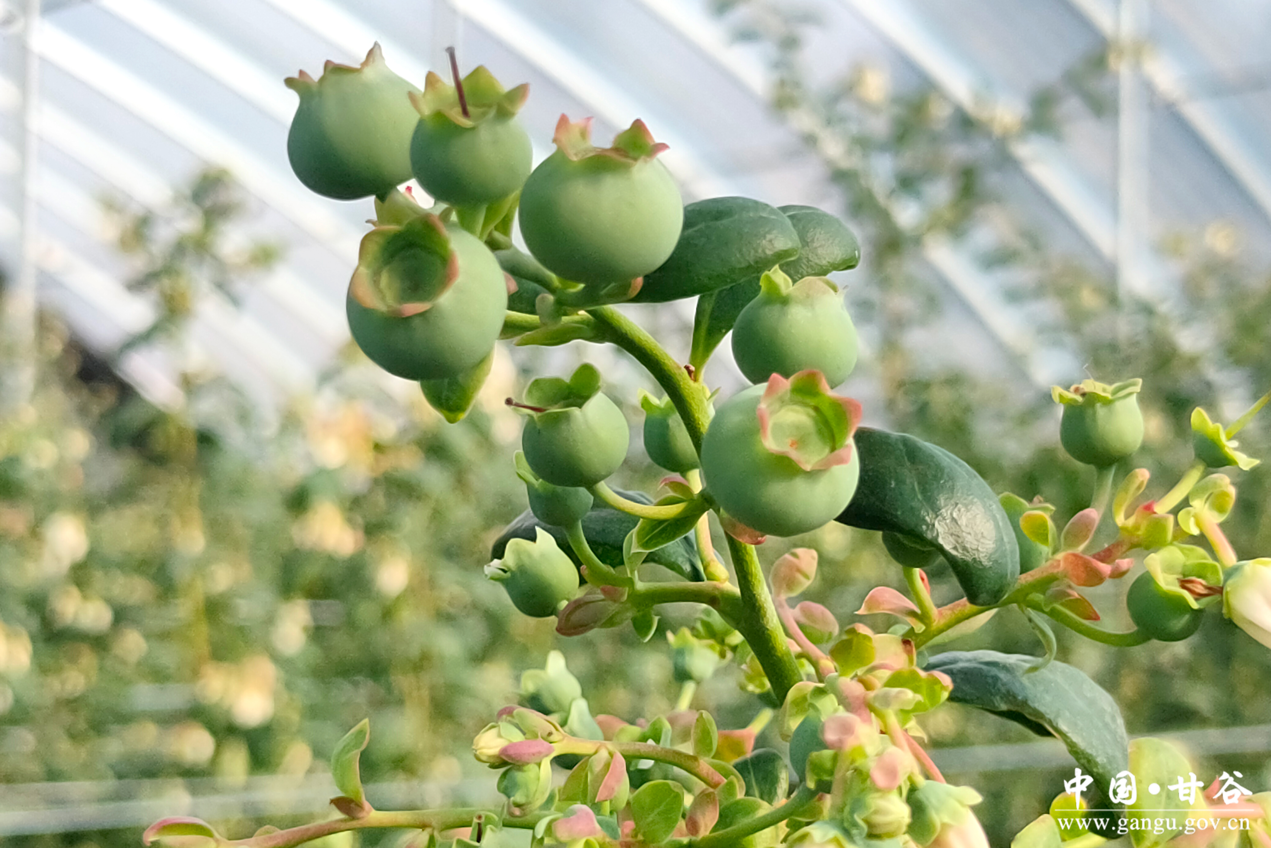 1765422637628078829.jpg 1765422637628078829.jpg