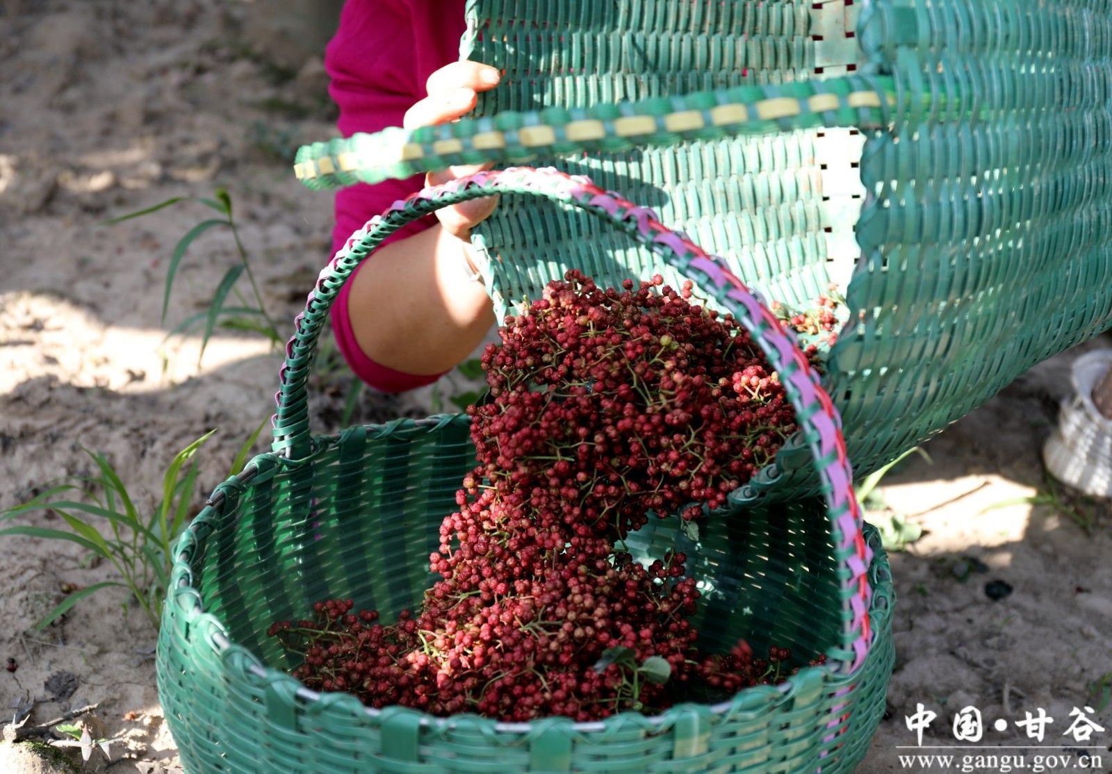 1690417646322056766 1690417646322056766