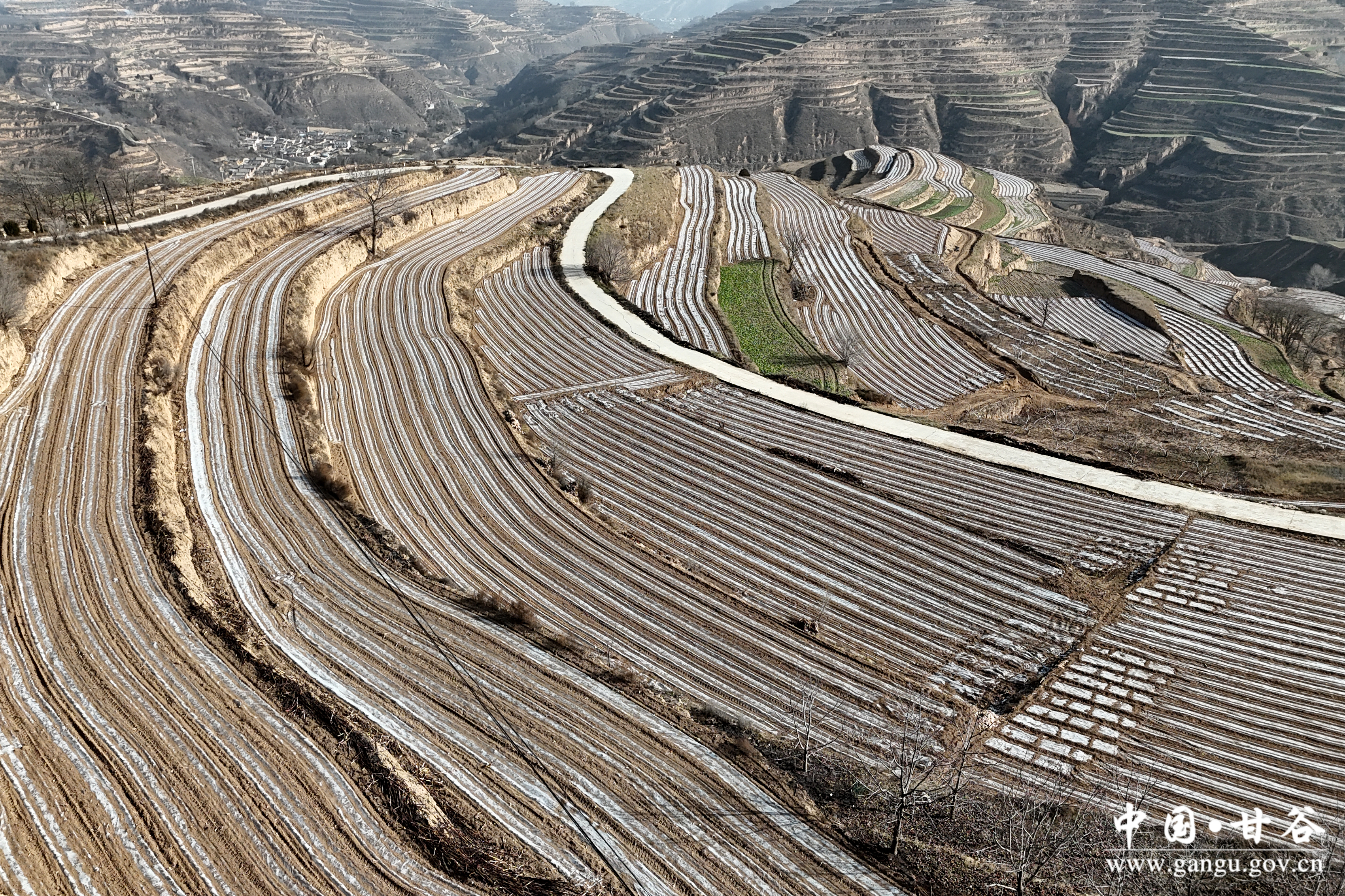 1764209882445078452.jpg 1764209882445078452.jpg