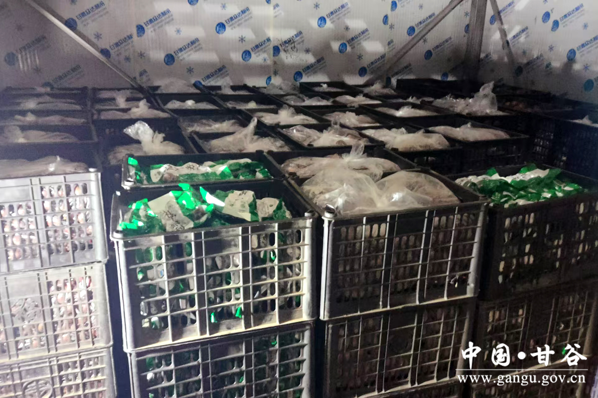 1734505492033002187.jpg 1734505492033002187.jpg