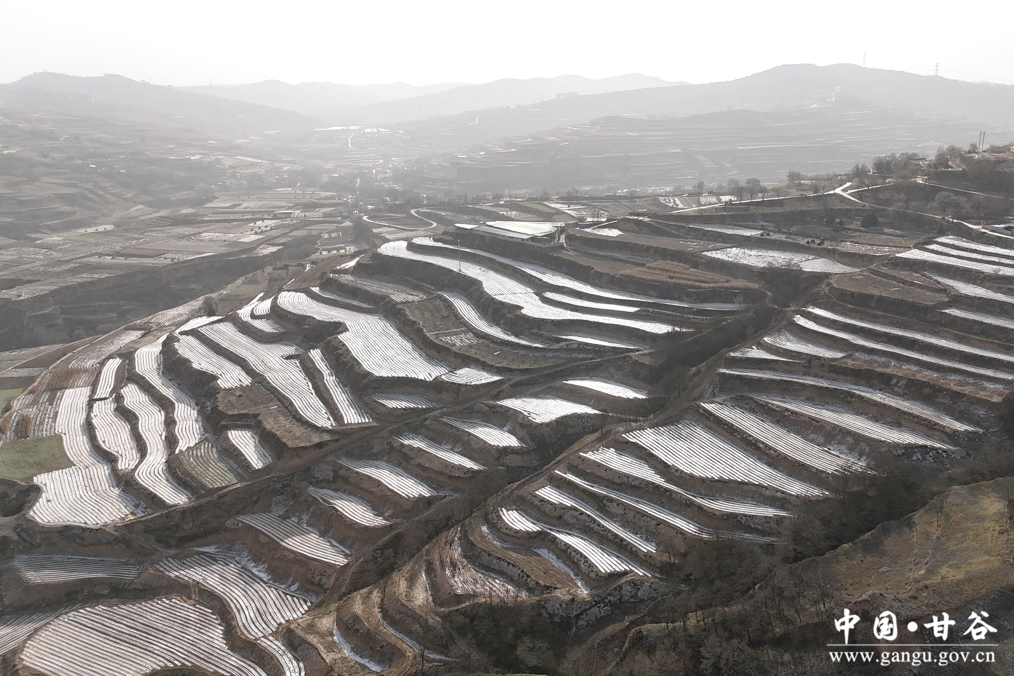 1764209891596089904.jpg 1764209891596089904.jpg