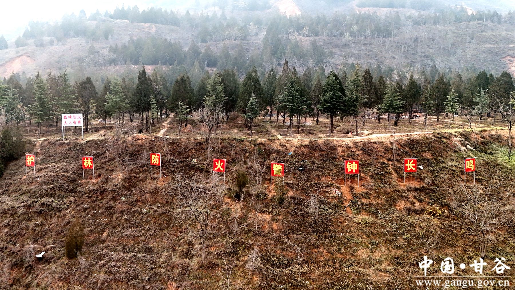 9d3002e4dd48842631c3e10c613a26e0 9d3002e4dd48842631c3e10c613a26e0