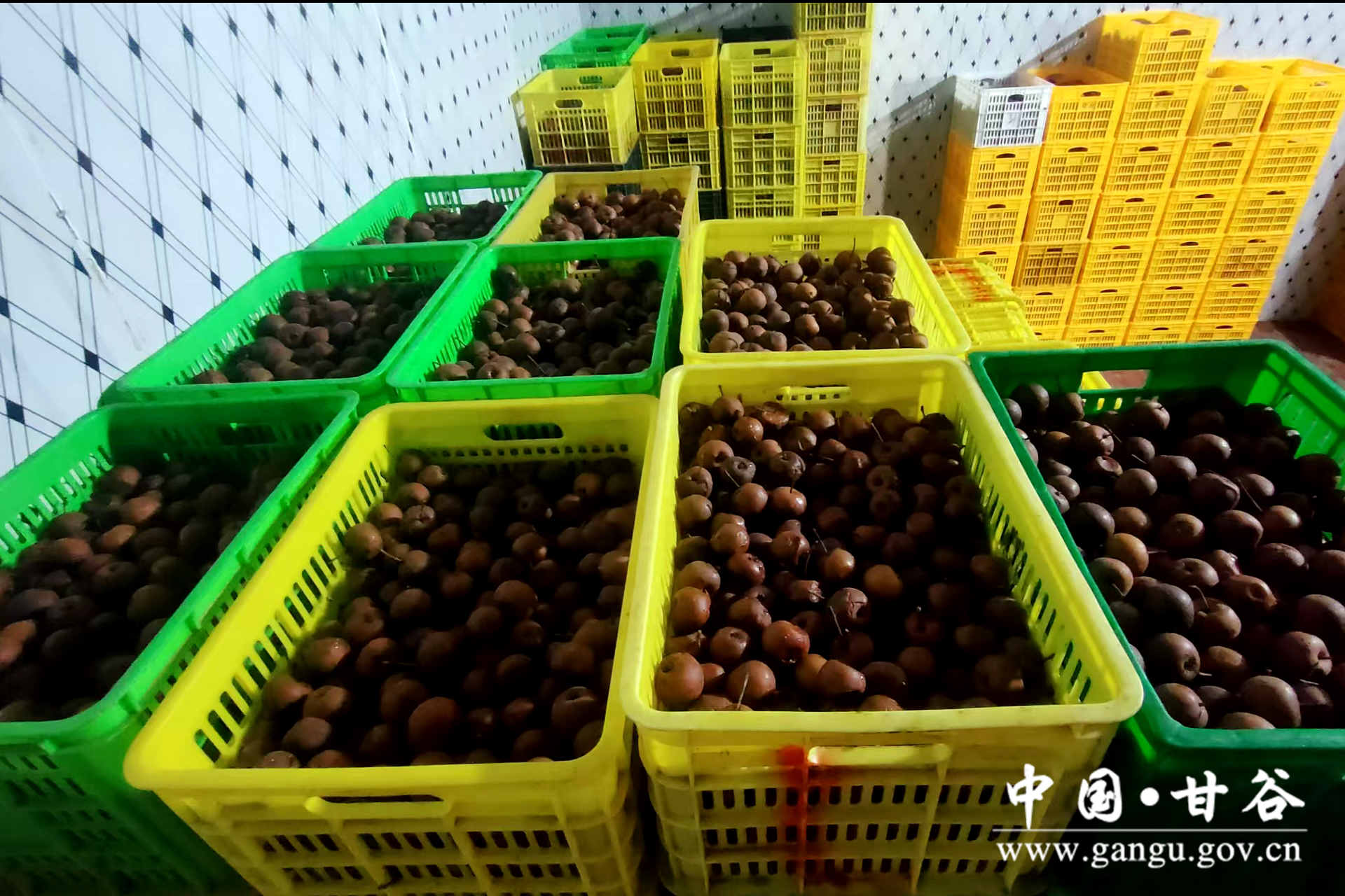 1734505678072012299.jpg 1734505678072012299.jpg