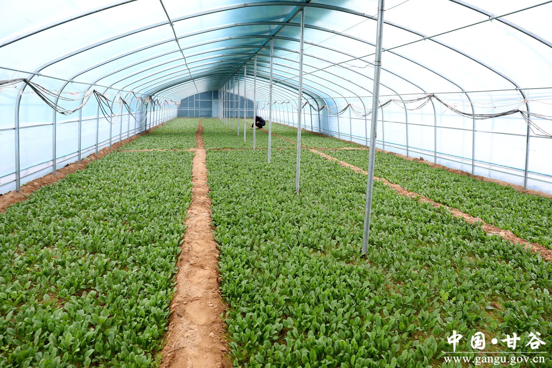 virtual_attach_file (1) virtual_attach_file (1)