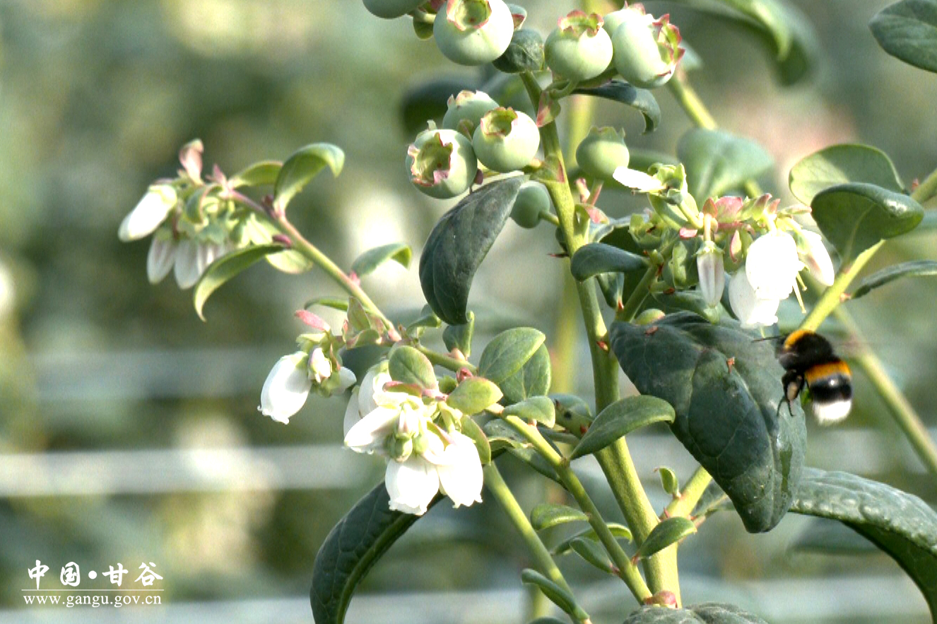 1765422843509043200.jpg 123.jpg