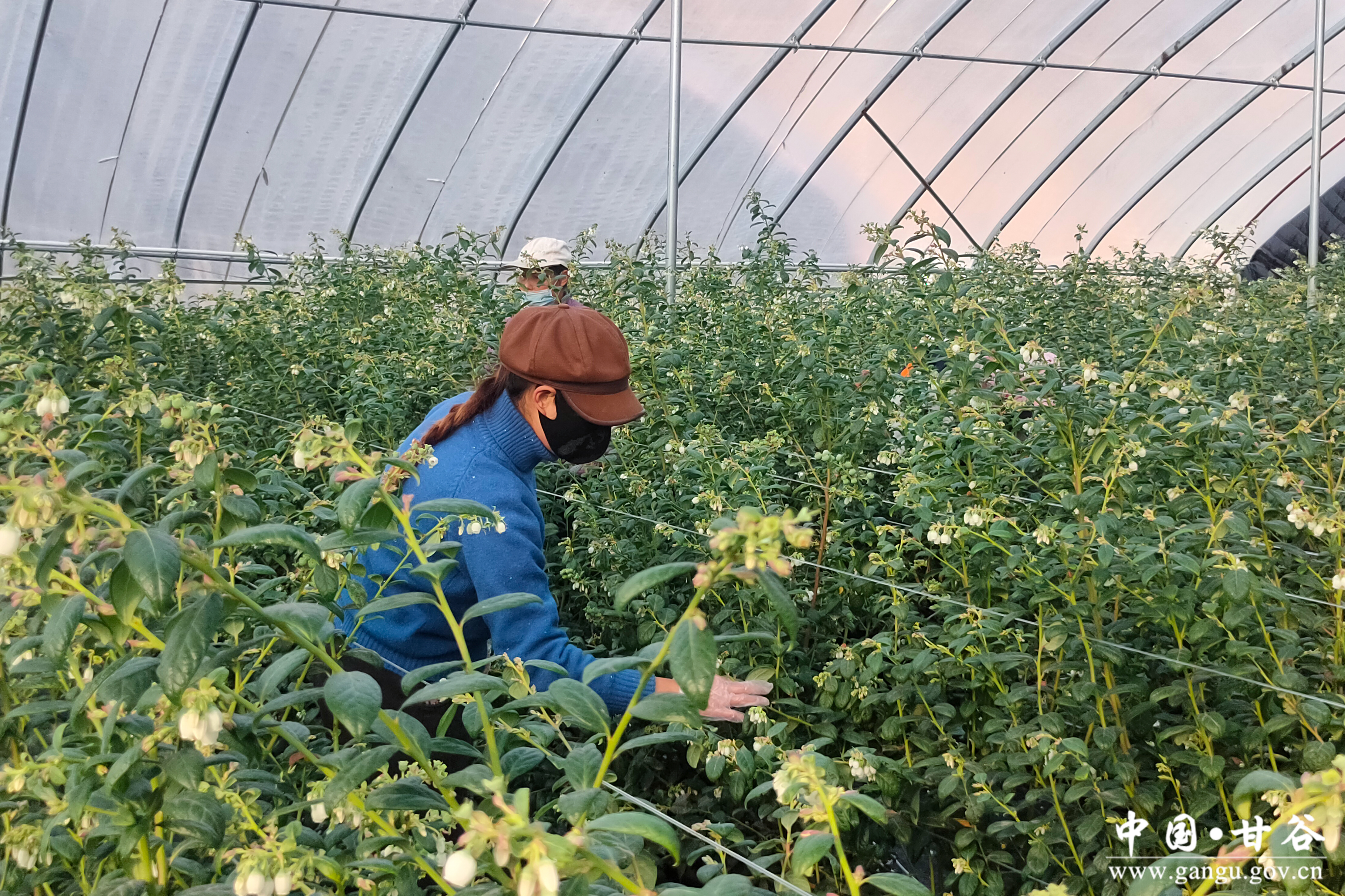 1765422692284072691.jpg 22.jpg