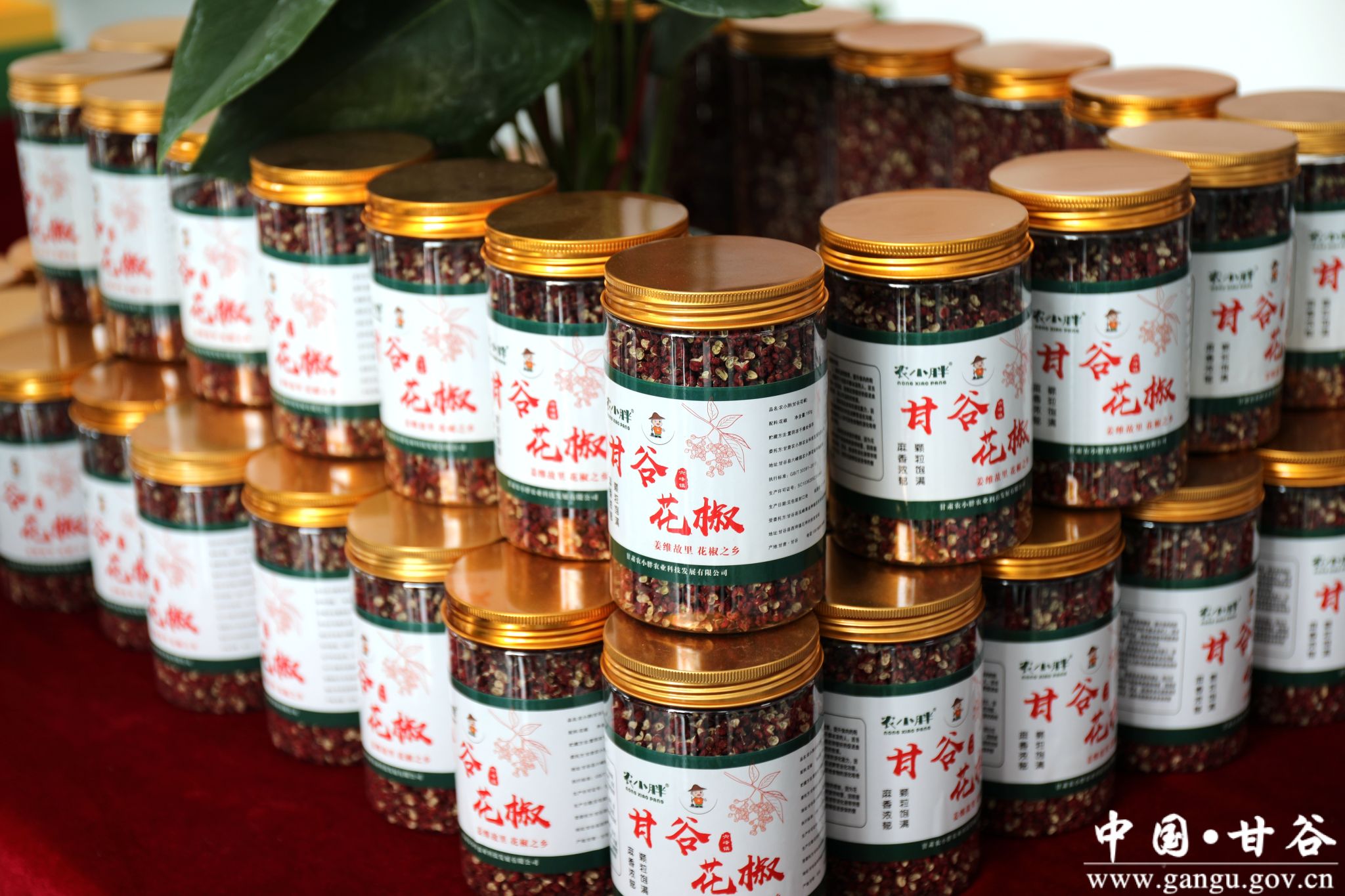 2345_image_file_copy_7.jpg 2345_image_file_copy_7.jpg