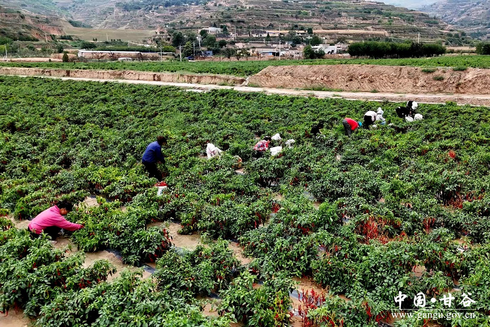 7beccb6e028544a09701b37aaedb39ed 7beccb6e028544a09701b37aaedb39ed