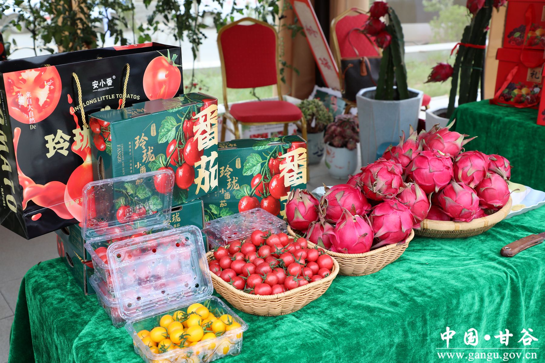 926A7404_副本 926A7404_副本