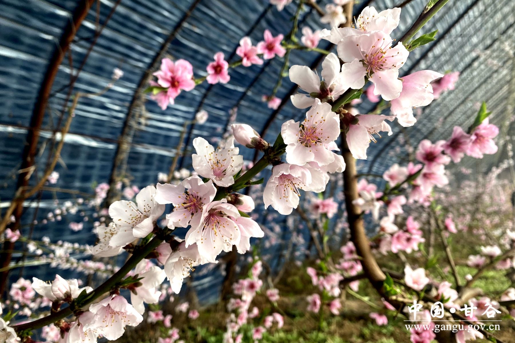 aa0105cdc52be51eb4618b62a8b32ad aa0105cdc52be51eb4618b62a8b32ad