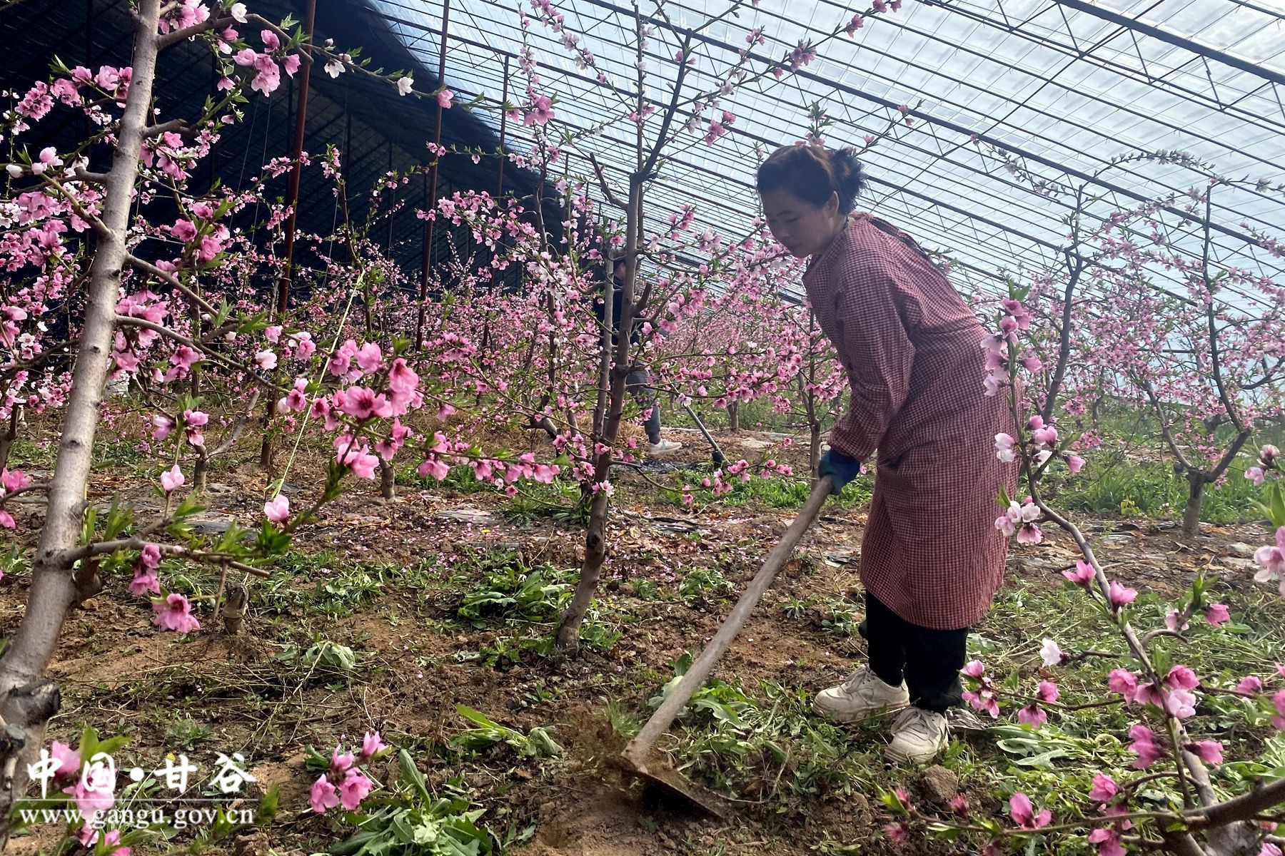 39980e8816105b72e5f9c267c681c7d 39980e8816105b72e5f9c267c681c7d