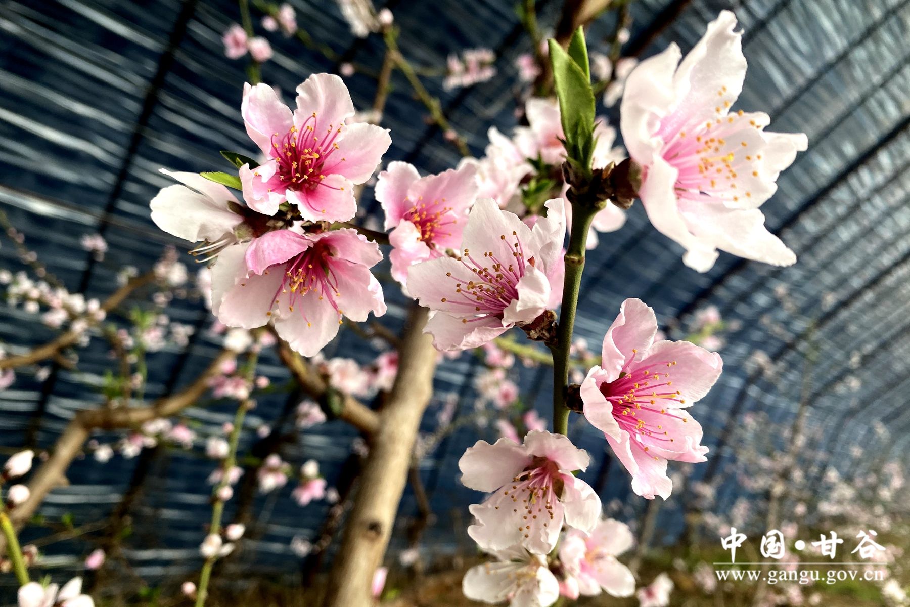 5d030777da2b4117b2a92cf69f74953 5d030777da2b4117b2a92cf69f74953