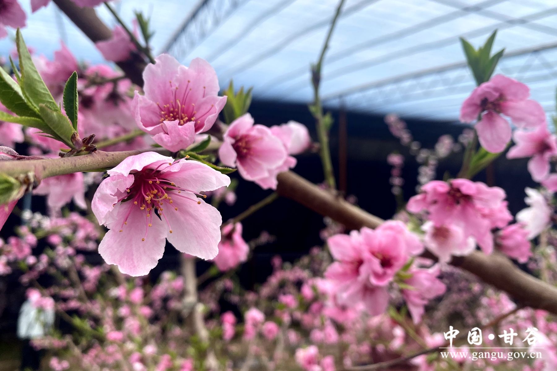 31f8b7c6e626992a85f592848d62f68 31f8b7c6e626992a85f592848d62f68