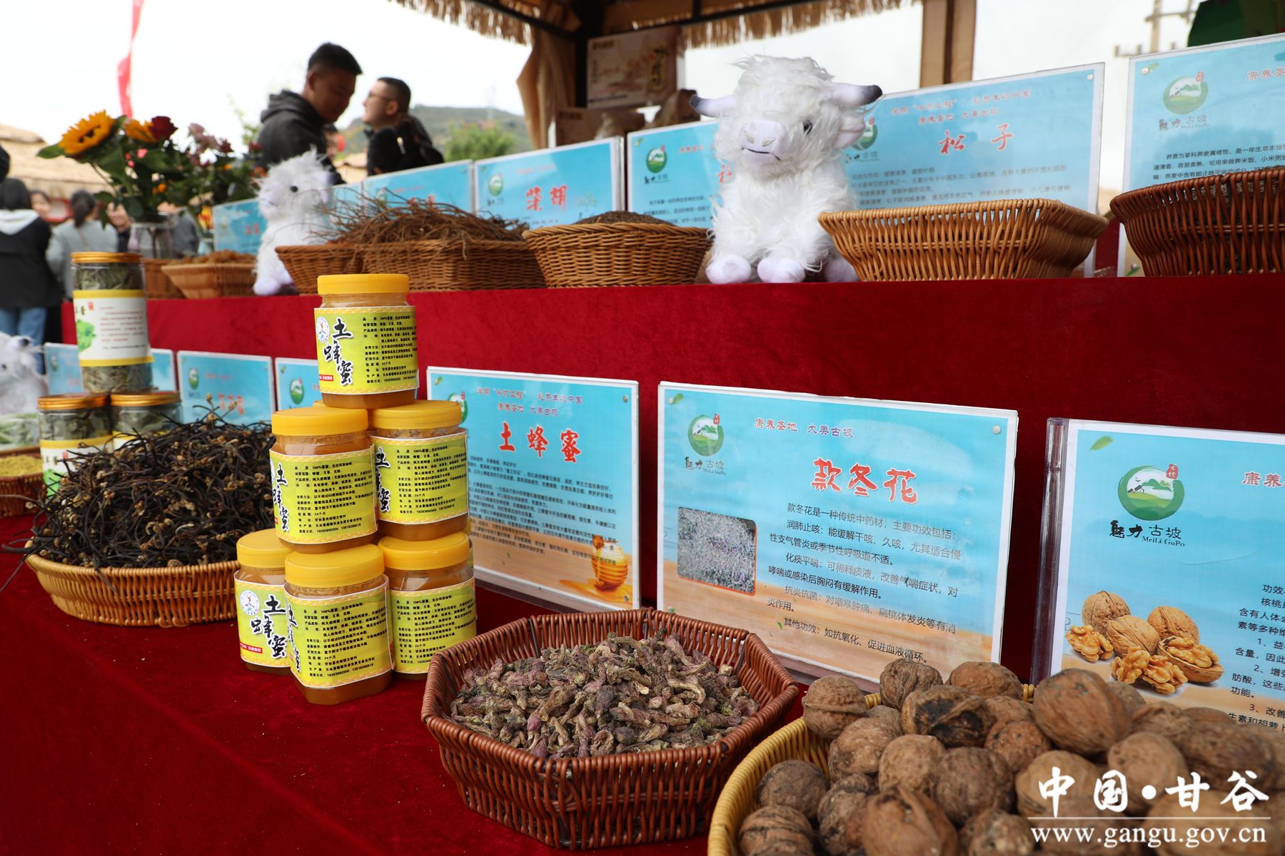 926A7637_副本 926A7637_副本