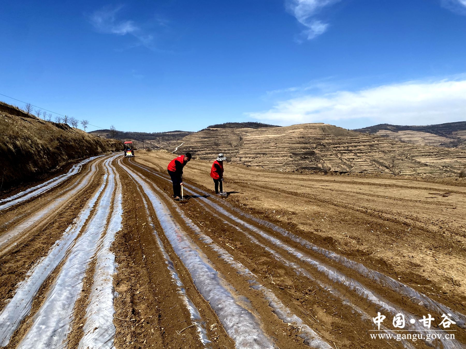 39fe92a771c163949c608cdee50bd68 39fe92a771c163949c608cdee50bd68