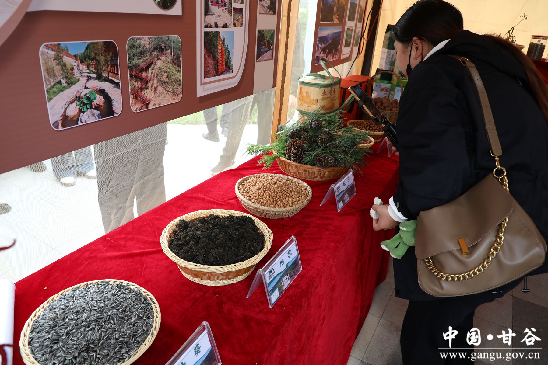 926A7609_副本 926A7609_副本