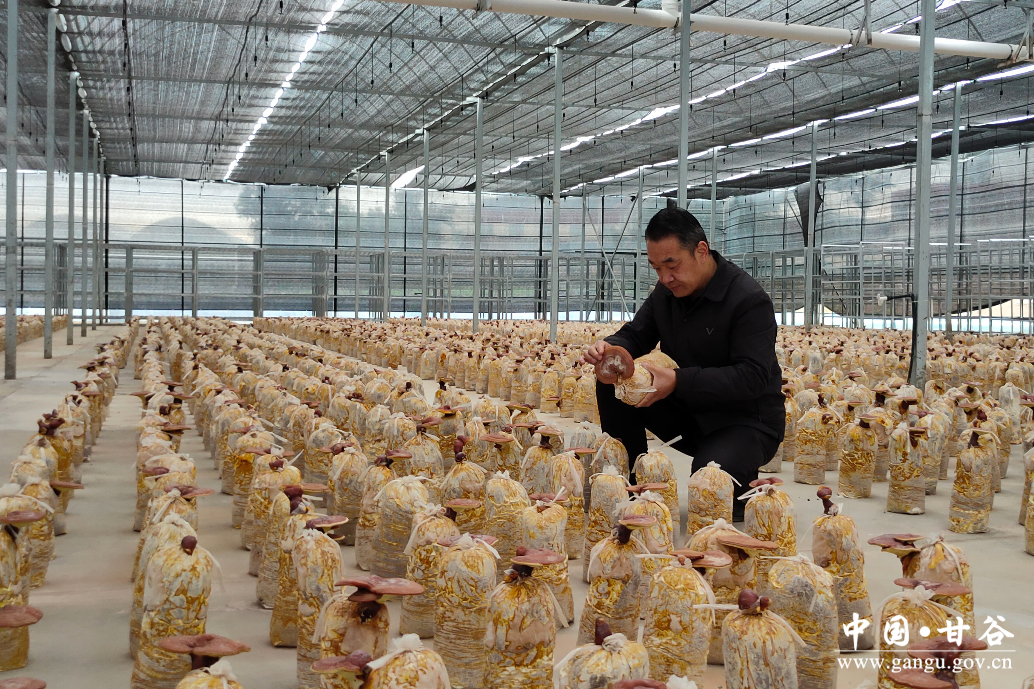 1760168237205010426.jpg 1760168237205010426.jpg