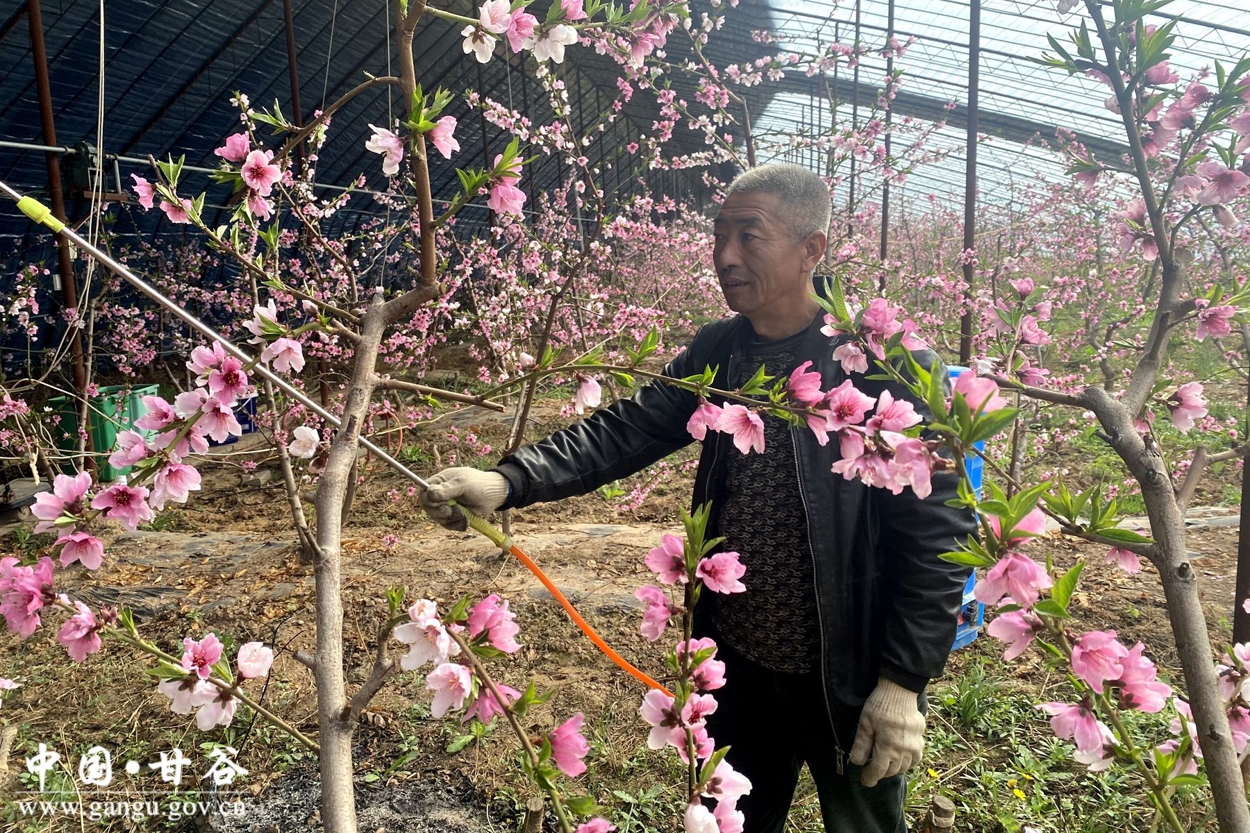 8df6a96a24ec6b030374484581b9fbe 8df6a96a24ec6b030374484581b9fbe