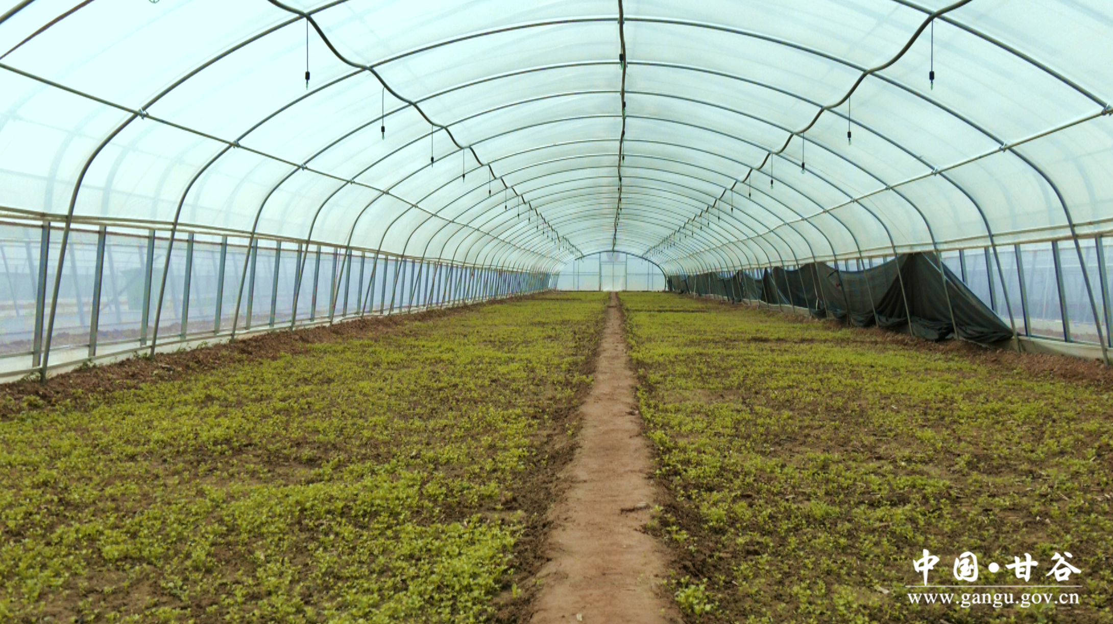 1718699799479004916.png 1718699799479004916.png