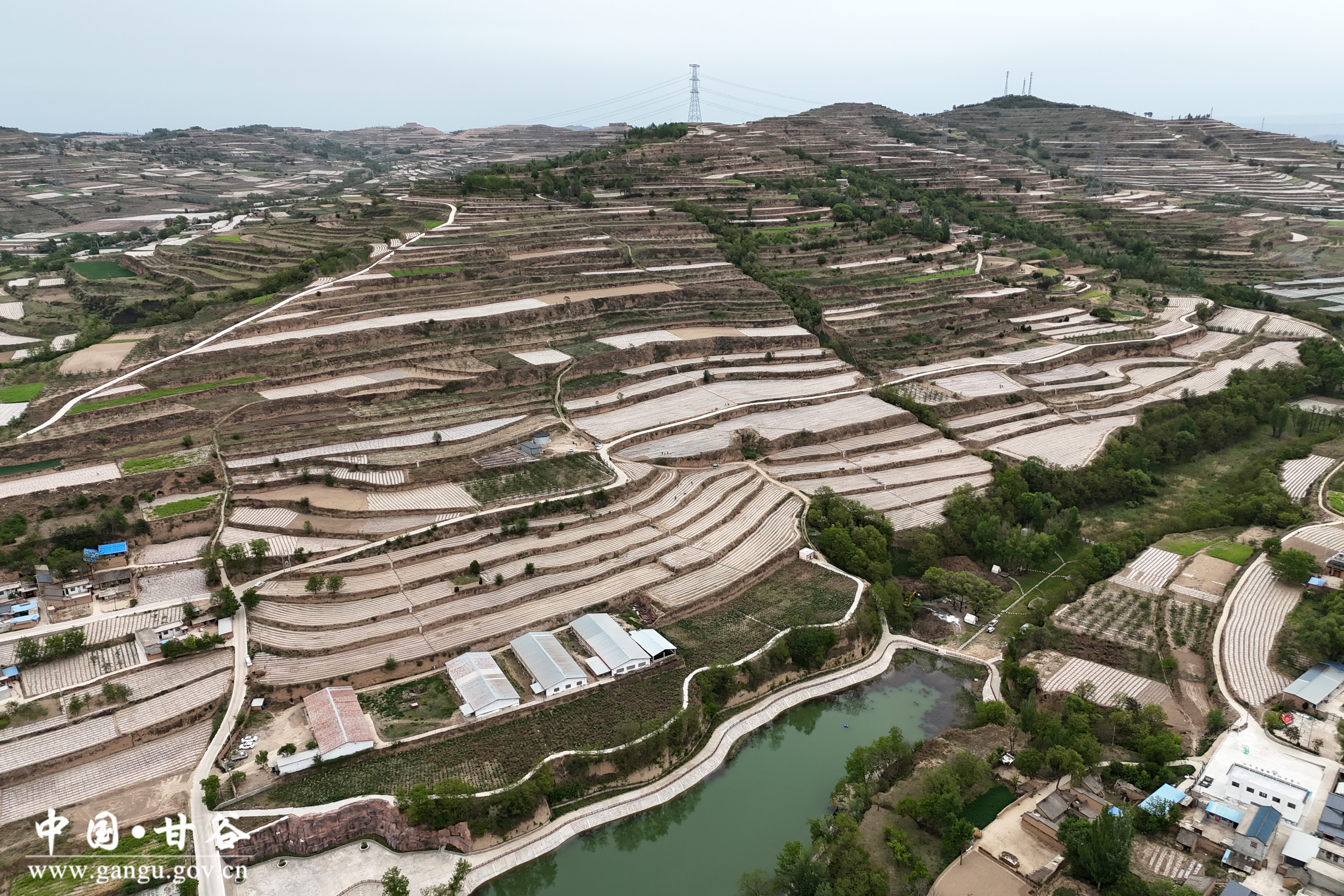 1747295666736056894.jpg 1747295666736056894.jpg