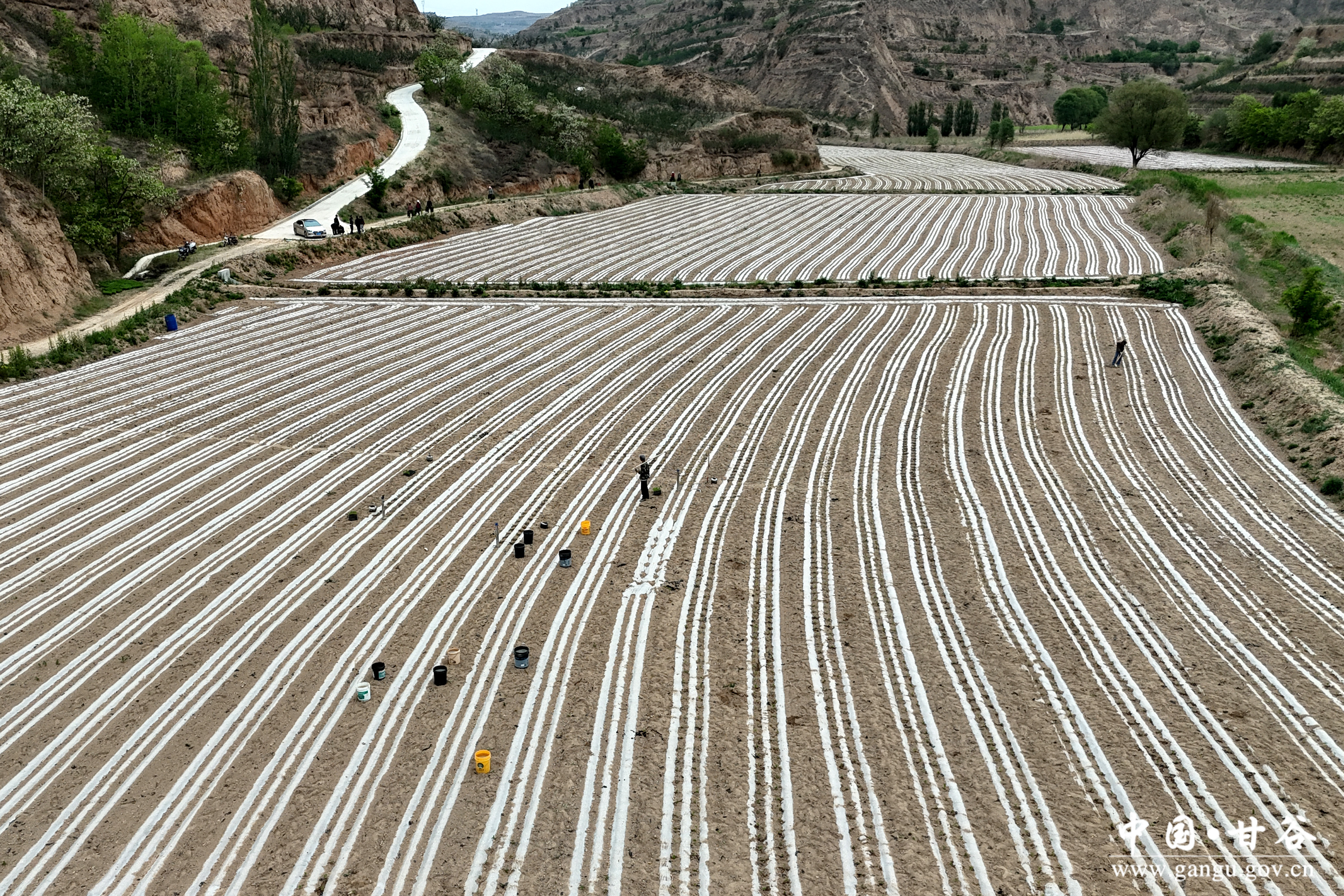 1747295755527361338.jpg 1747295755527361338.jpg