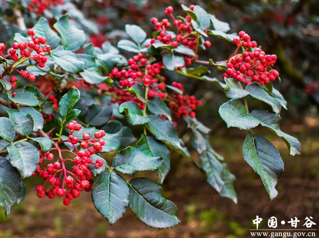 1715671674343015129.jpg 1715671674343015129.jpg