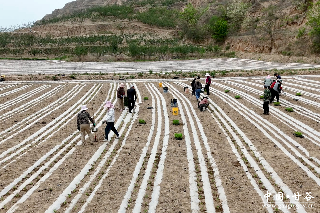 1747295706945083472.jpg 1747295706945083472.jpg