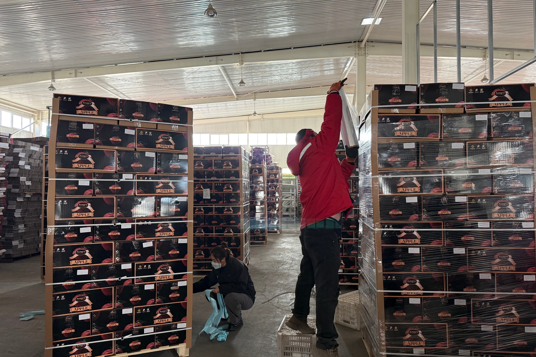 微信图片_20251130124948_158_65 微信图片_20251130124948_158_65