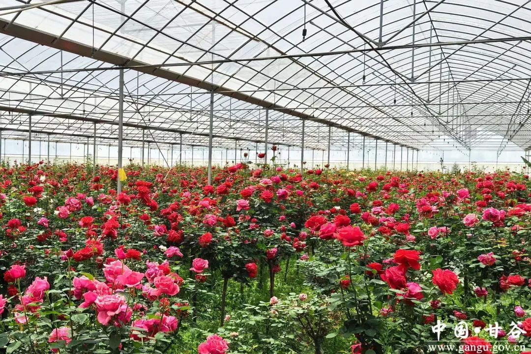 微信图片_20250113110232