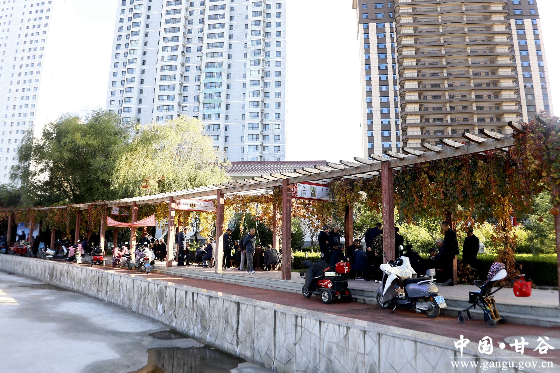 _MG_9356_副本_副本 _MG_9356_副本_副本