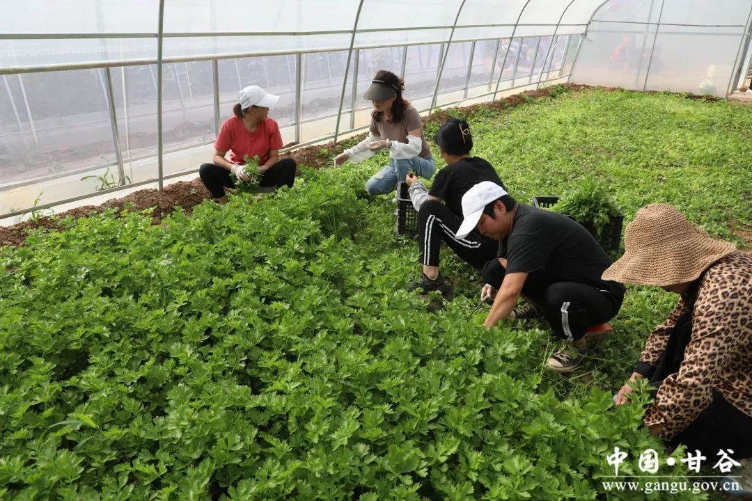 微信图片_20250113110227