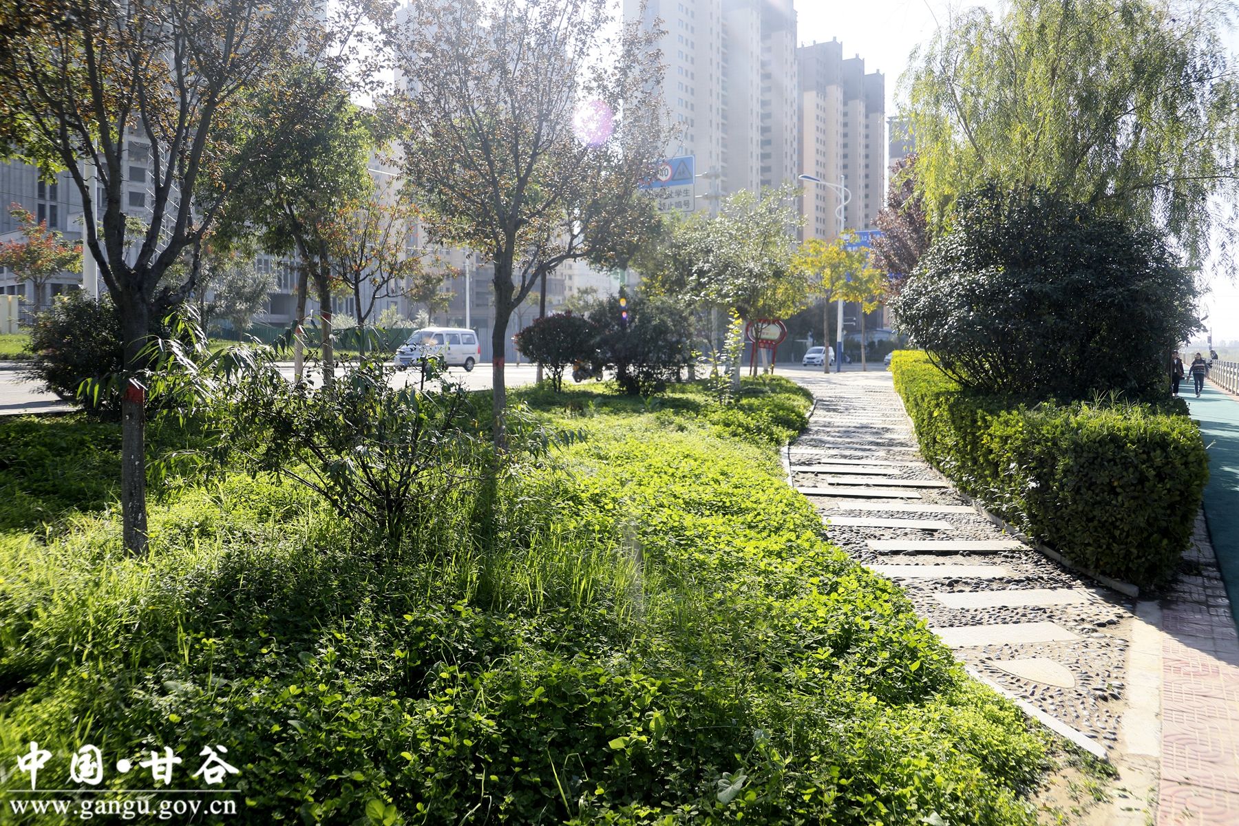 _MG_9103_副本_副本 _MG_9103_副本_副本