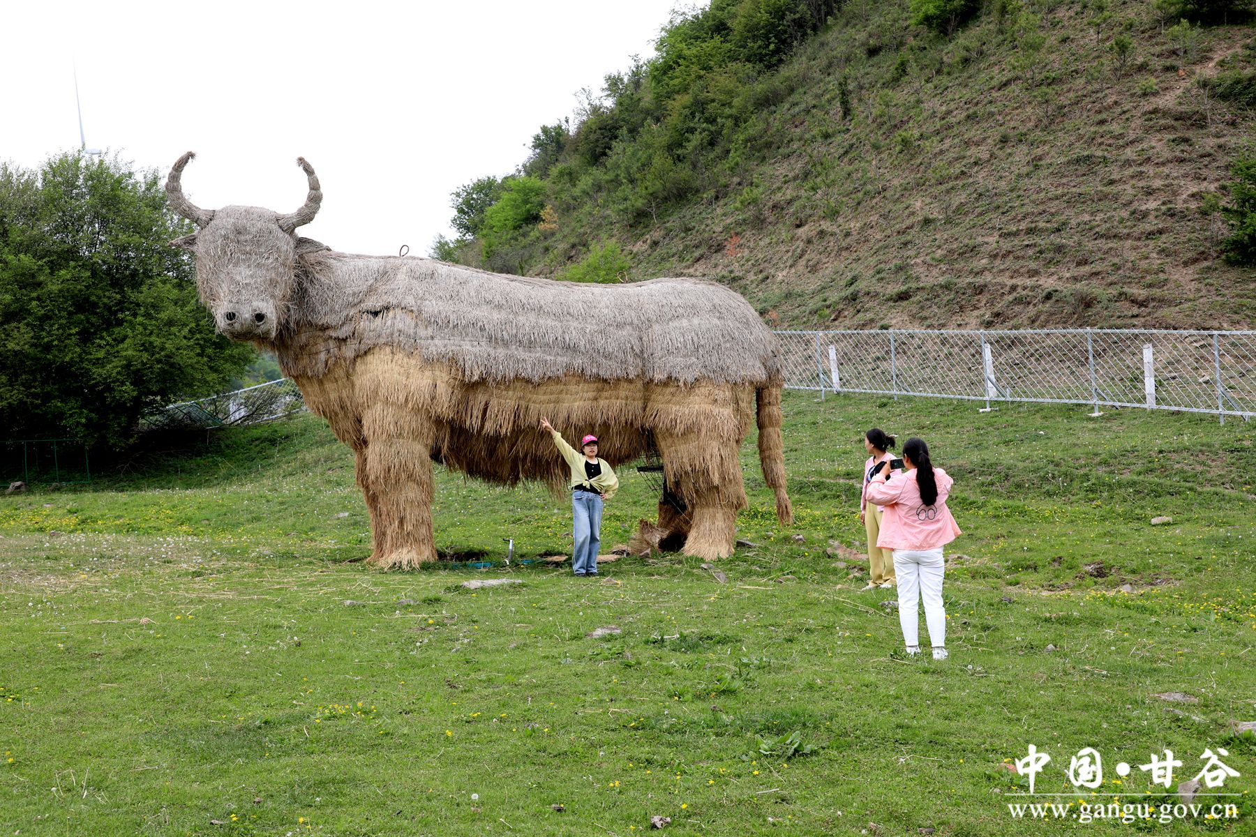 926A0286_副本_副本 926A0286_副本_副本