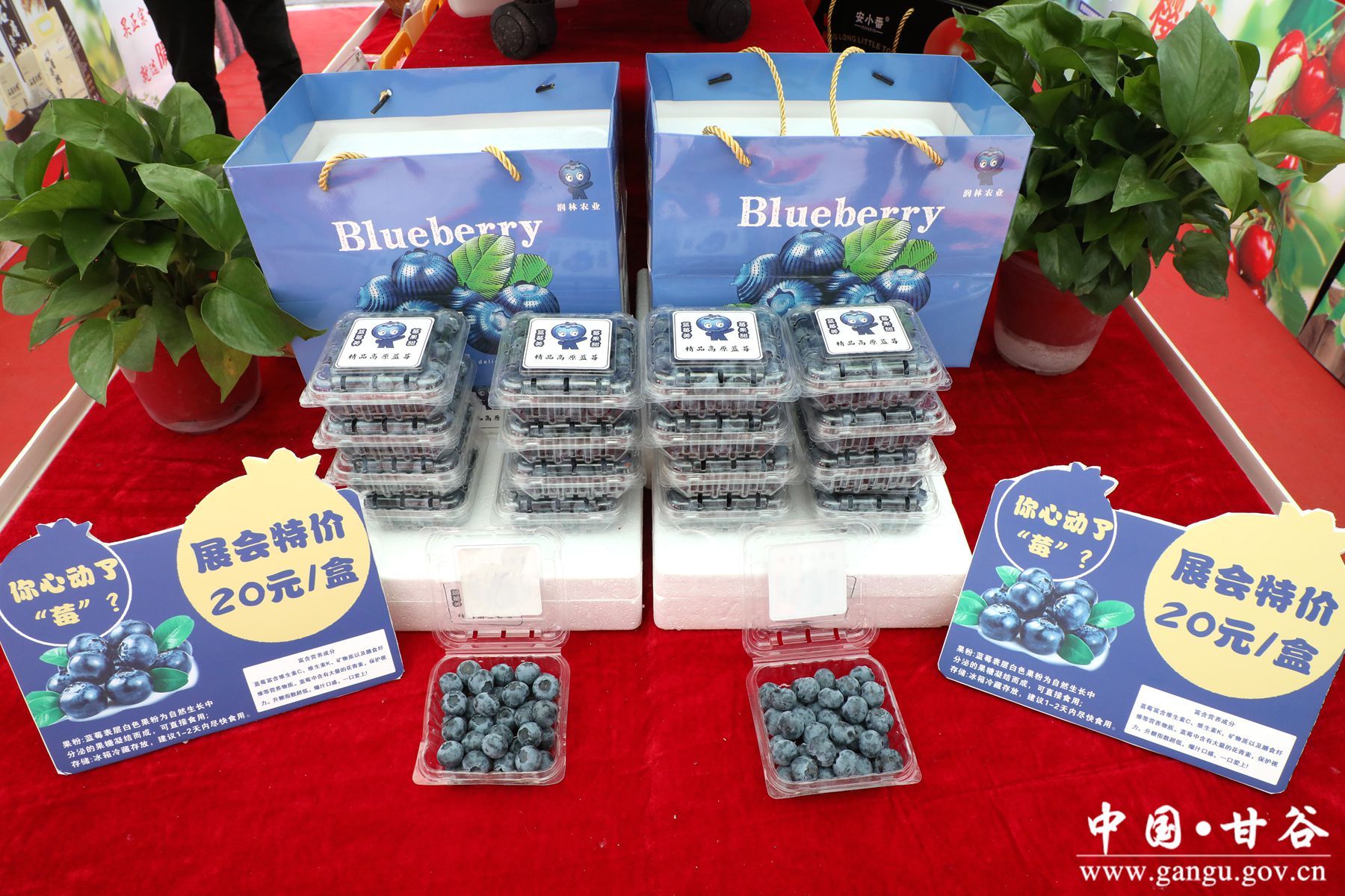 930A9881_副本 930A9881_副本