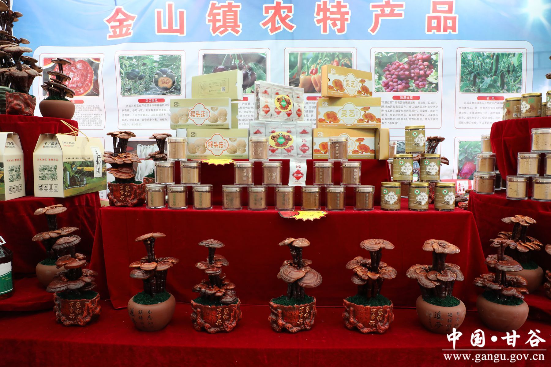 930A9878_副本 930A9878_副本