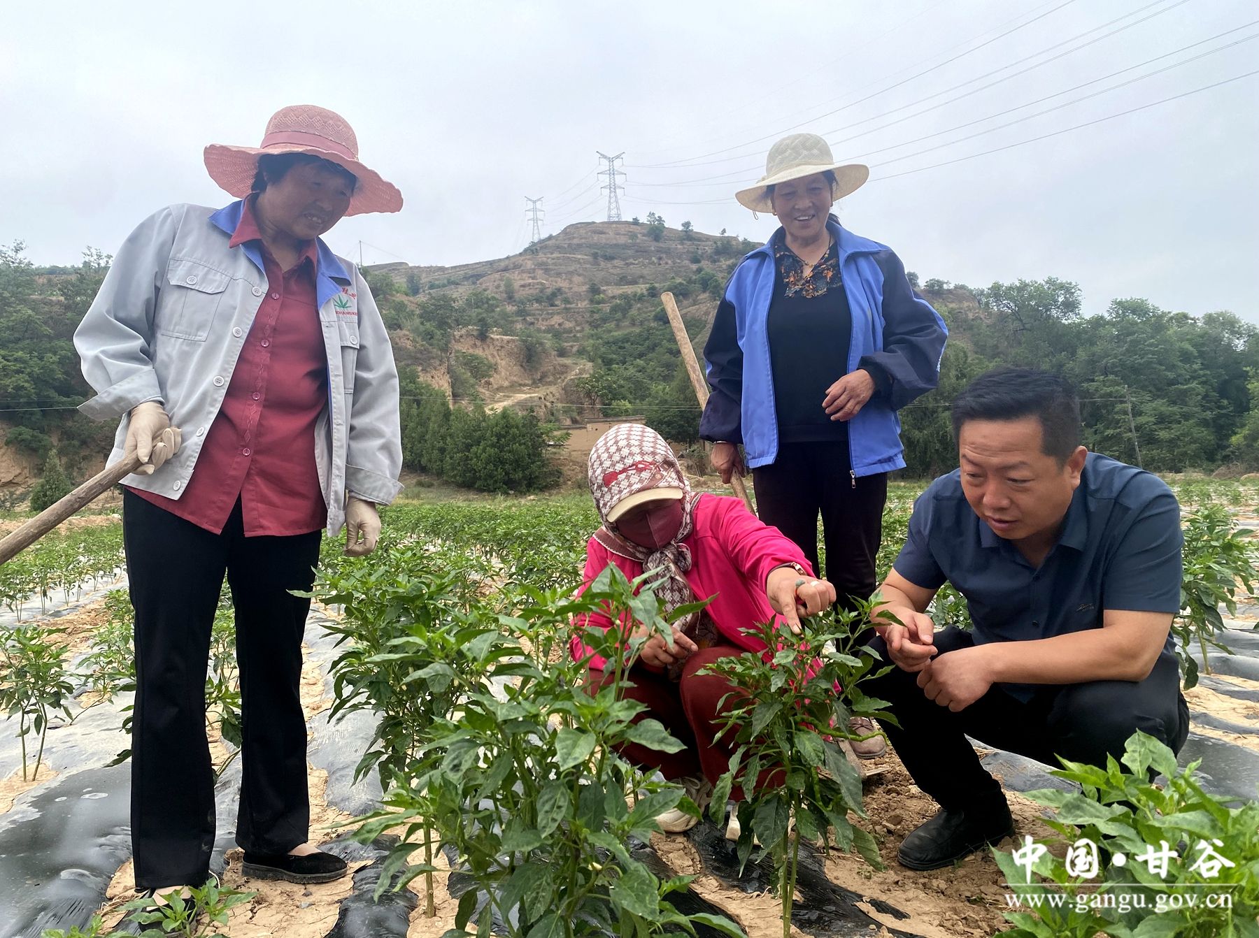 a772c9b66fee815b3ad0f54172b0492 a772c9b66fee815b3ad0f54172b0492