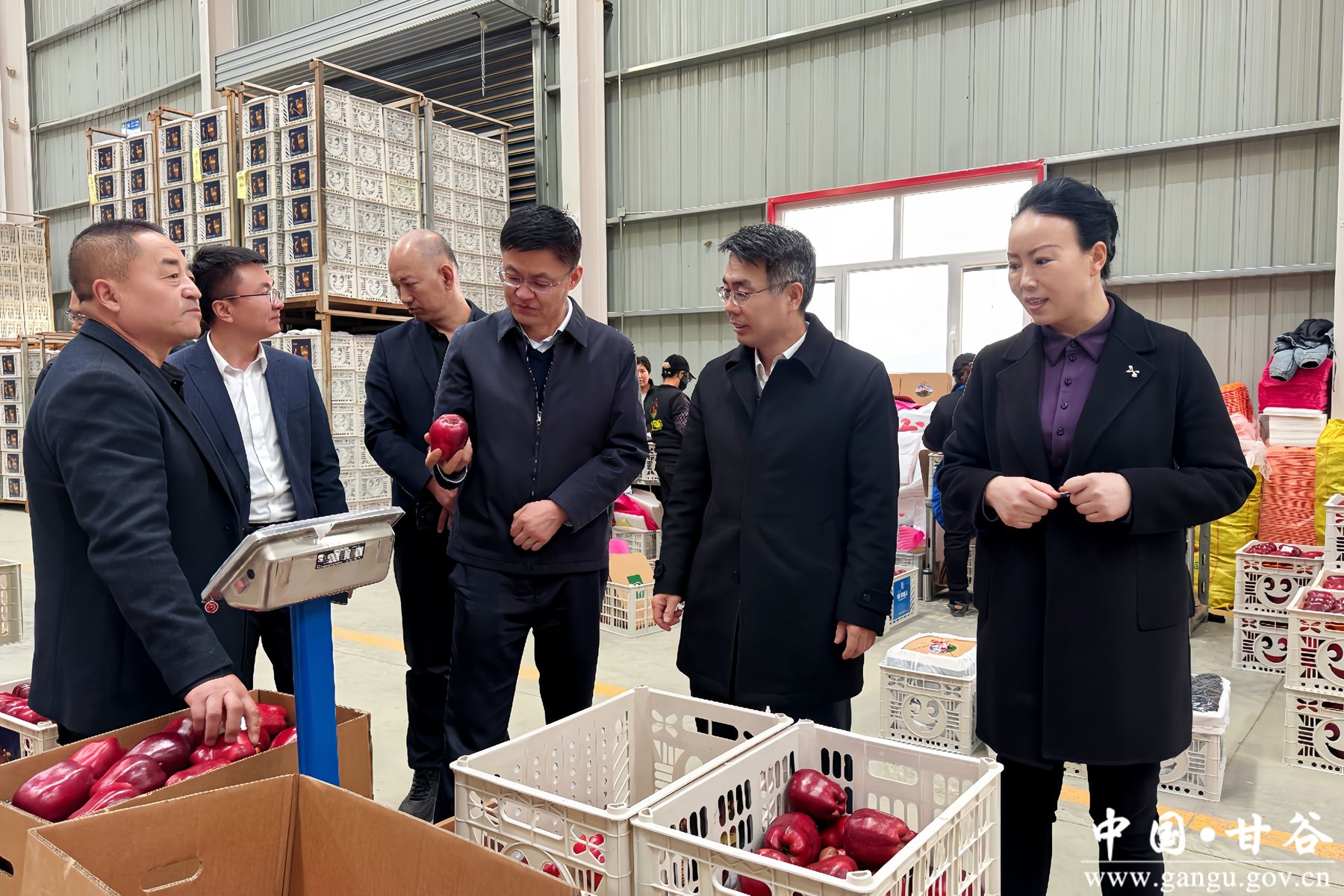 微信图片_20250305083656 微信图片_20250305083656