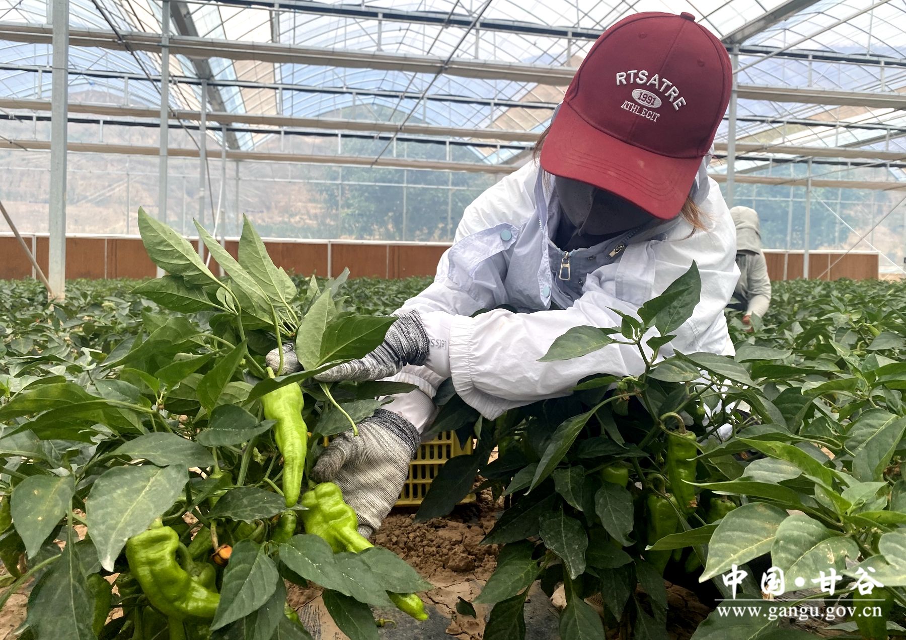 2002f19570357fe4c71bedfa8b918e6 2002f19570357fe4c71bedfa8b918e6