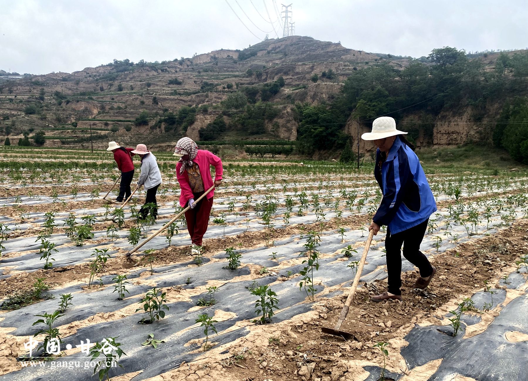 df892348d7c23562fe058ad9fad9c94 df892348d7c23562fe058ad9fad9c94