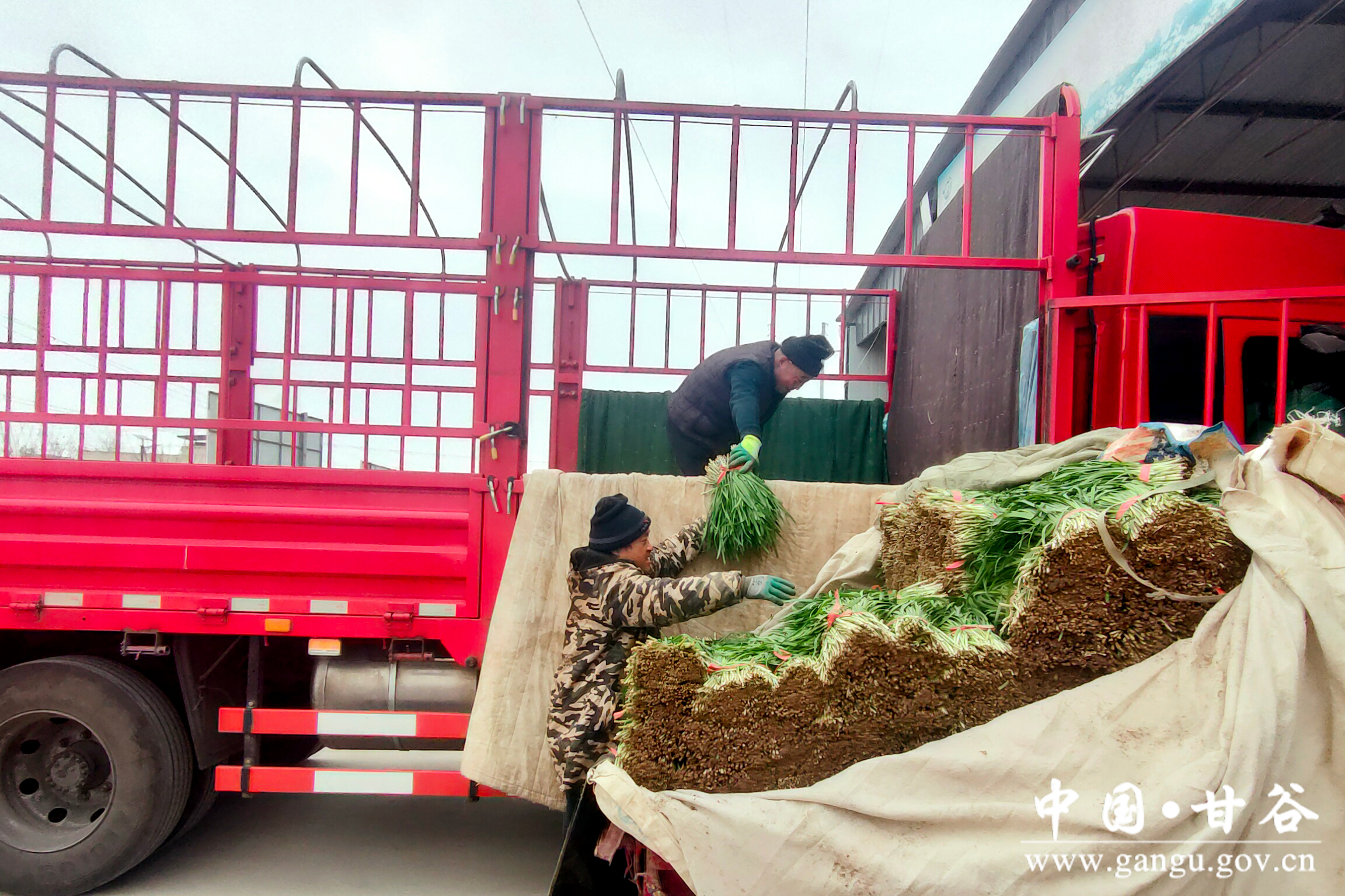 1737334640693000837.jpg 1737334640693000837.jpg